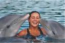 Swim with Dolphins